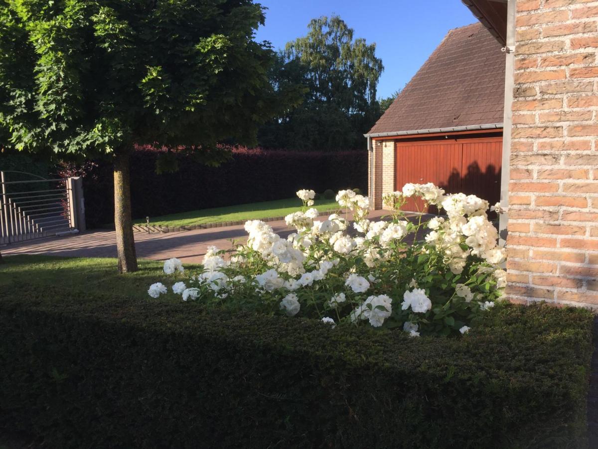 Artemis Villa Ronse Exterior photo
